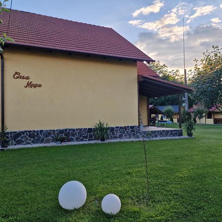Casa Maya Săsciori Dış mekan fotoğraf