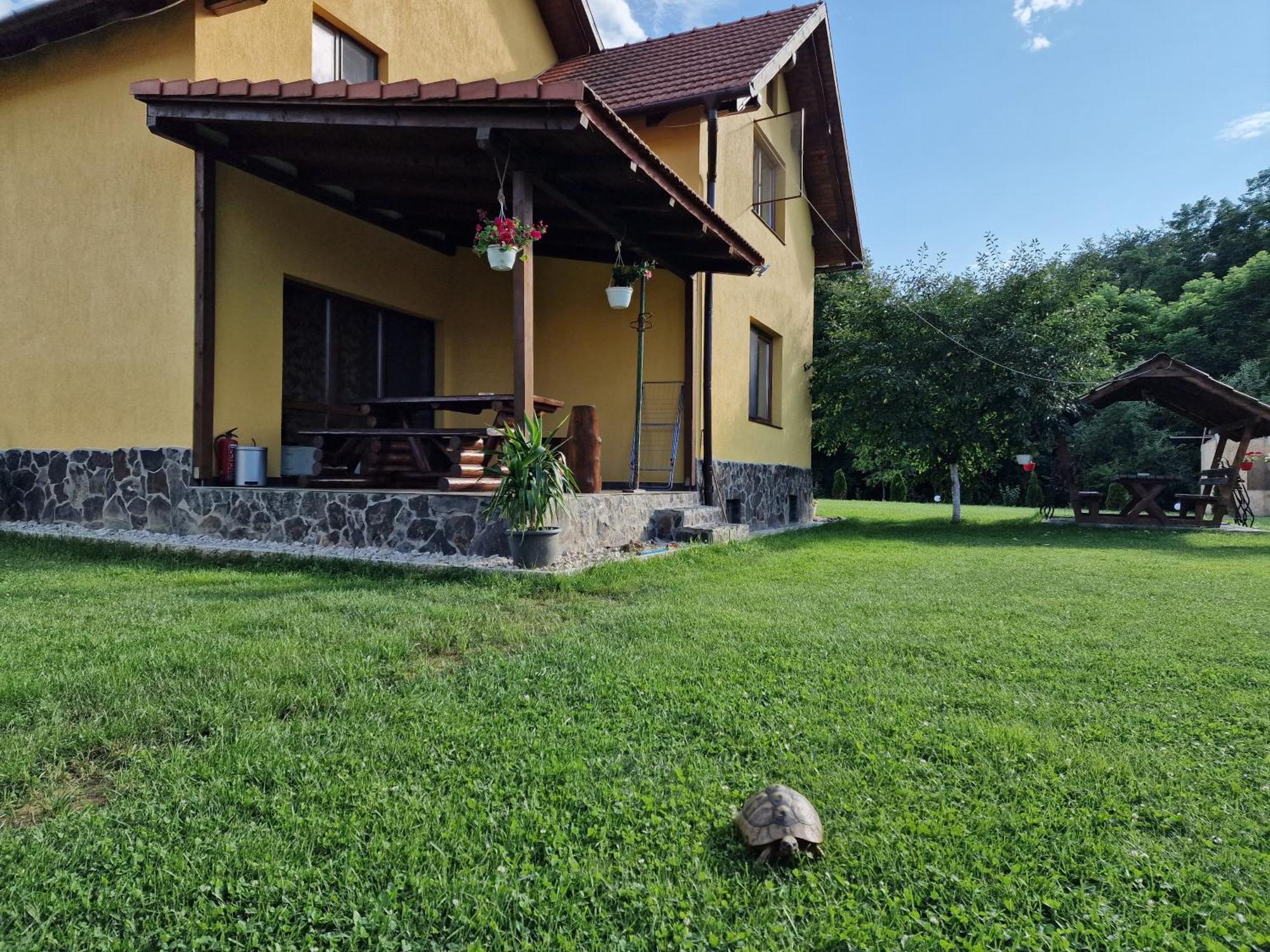 Casa Maya Villa Săsciori Dış mekan fotoğraf